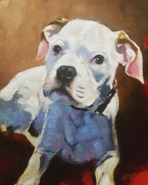 Bulldog Oil Painting