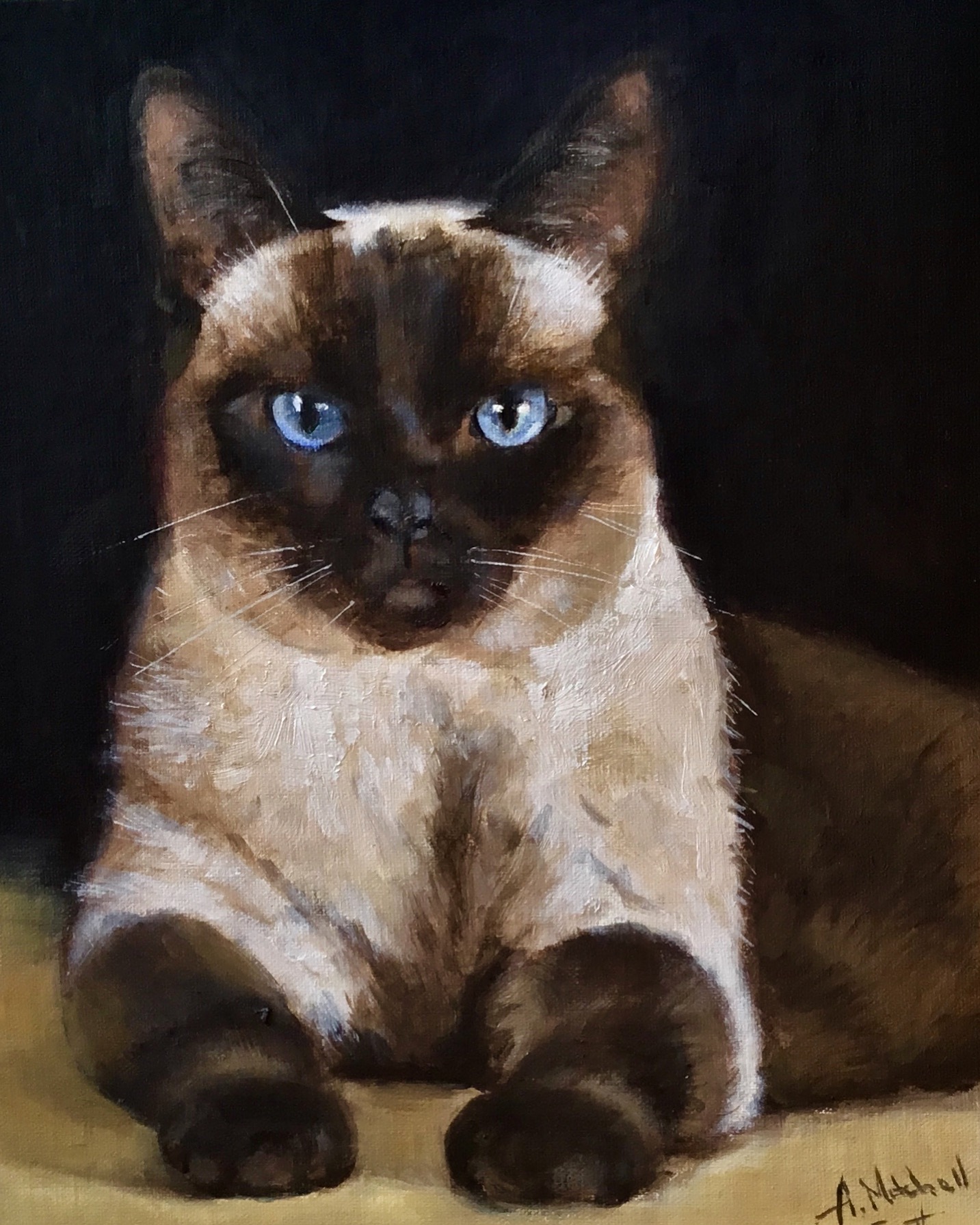 Siamese Cat Oil Painting