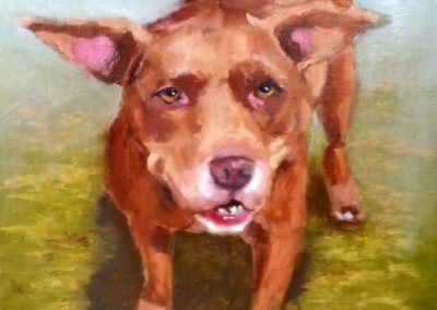 Pitbull Oil Painting