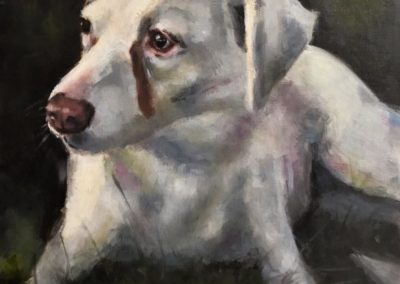 Oil Pet Portrait