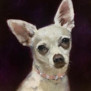 Pet Portrait Of Taboo