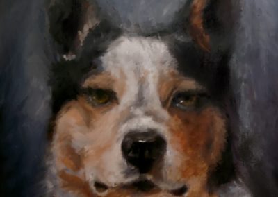 Blue Healer Oil Painting